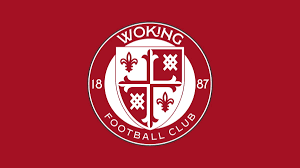 Image result for Old Wokingians Football Club