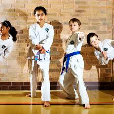 Image result for Bytomic Tae Kwon Do Henley on Thames