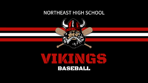 Image result for North East Vikings
