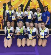 Image result for Brumby Gymnastics Club