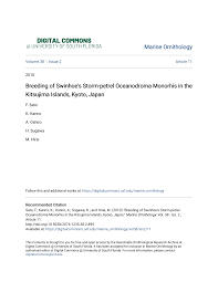 Image result for Oceanodroma monorhis