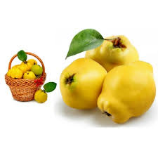 Attēlu rezultāti vaicājumam “Cydonia oblonga fruit”