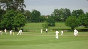 Image result for Ballinger Waggoners Cricket Club