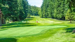 Image result for Newtonmore Golf Club