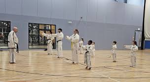 Image result for Bracknell TaeKwon-Do Club