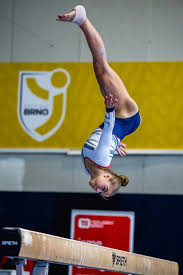 Image result for Horsham Gymnastics Club