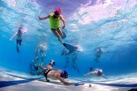 Image result for Nottingham Octopush Club