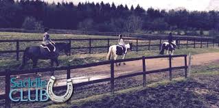 Image result for Shey Copse Riding Centre