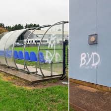 Image result for Ballymena Vandals