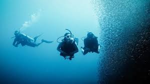 Image result for Deep Blue Diving
