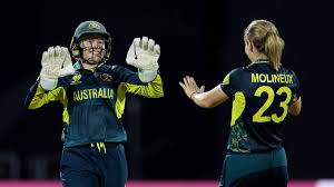 Image result for Molineux Netball Club