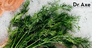 Image result for Dill