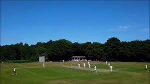 Image result for Caterham Cricket Club