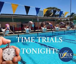 Image result for York University Pool Club