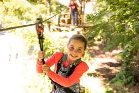 Image result for Go Ape! Alice Holt