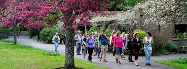 Image result for Surrey Heath Slammers