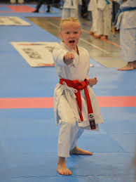 Image result for Worcester Taijutsu Kai Self Defence