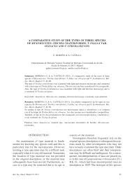 Attēlu rezultāti vaicājumam “Trichia crateriformis stalked”