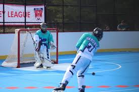 Image result for Walsall Roller Hockey Club