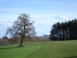 Image result for Caird Park Golf Club