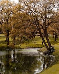 Image result for Wentworth Tennis & Health Club