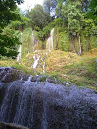 「parque los chor」の画像検索結果