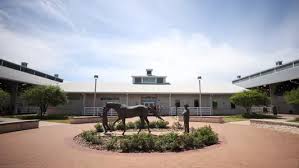 Image result for Annandale Equestrian Centre