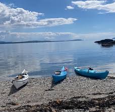 Image result for Bute Kayak Club