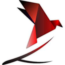 Image result for City Of Salford Gymnastics Club