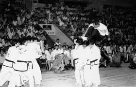 Image result for Ndm Martial Arts