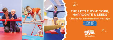 Image result for York University Gymnastics Club