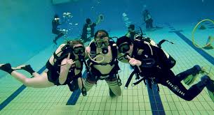 Image result for Uwe Sub Aqua Club
