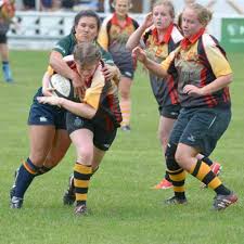 Image result for Harrogate Rugby Football Club