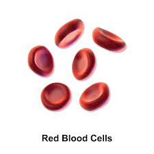 Image result for blood