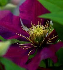 Image result for epl1 20mm night site:flickr.com