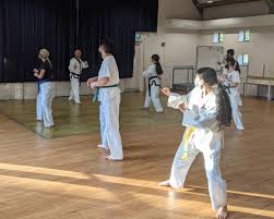 Image result for Enfield T A G B Club