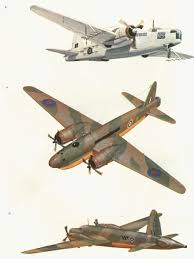 Image result for Wellington Whirlwinds Tc