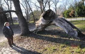 Image result for Arnoldfield Bowls Club