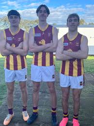 Image result for Hambro Colts Y F C