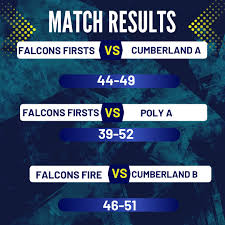 Image result for Normanton Falcons Netball Club