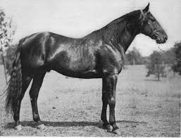 Image result for Foiled Again