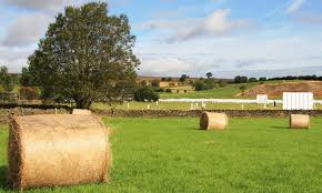 Image result for Thurstonland Cricket Club