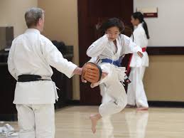 Image result for Newport Kyokushin Karate Club