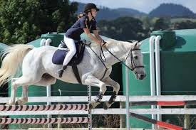 Image result for Thames Valley Riding Club