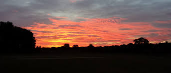 Image result for Hurley Cricket Club