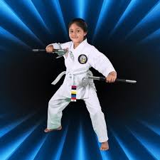 Image result for Skillz Martial Arts