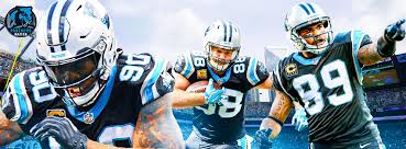 Image result for Pentland Panthers