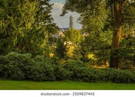 Image result for sonsbeek park