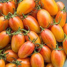 Afbeeldingsresultaat voor blushing yellow tomato