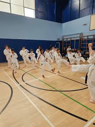 Image result for middlesbrough karate academy